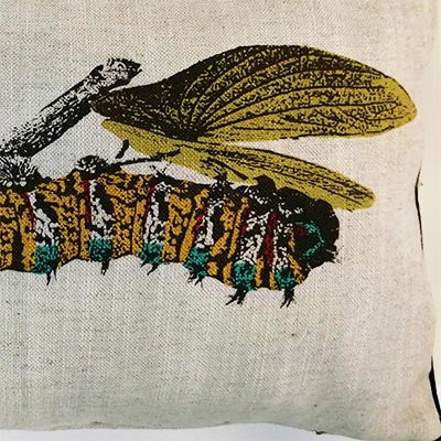 Mopani Worm Scatter Cushion Cover – Bold African Heritage Design