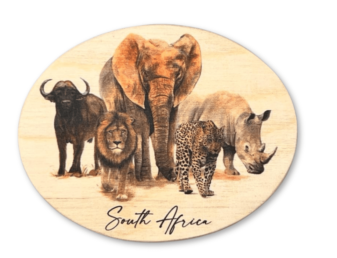 Wooden African Fridge Magnets (South African Wildlife and South African Flowers)