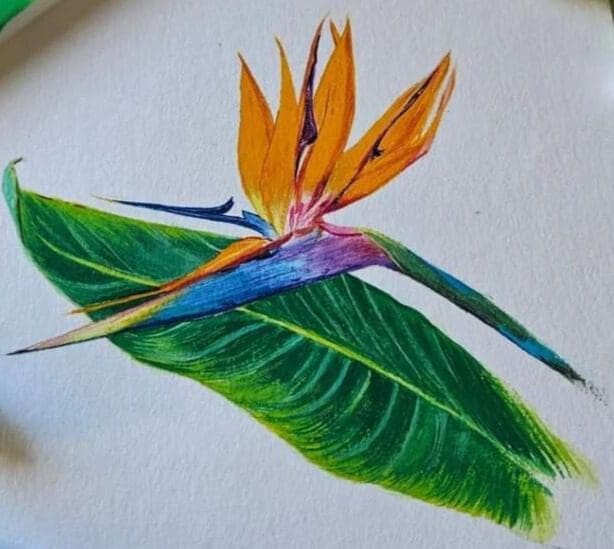 Wooden African Fridge Magnets (South African Wildlife and South African Flowers)