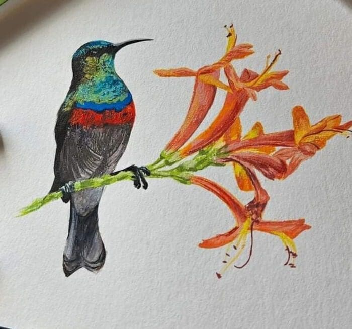 Wooden African Fridge Magnets (South African Wildlife and South African Flowers)
