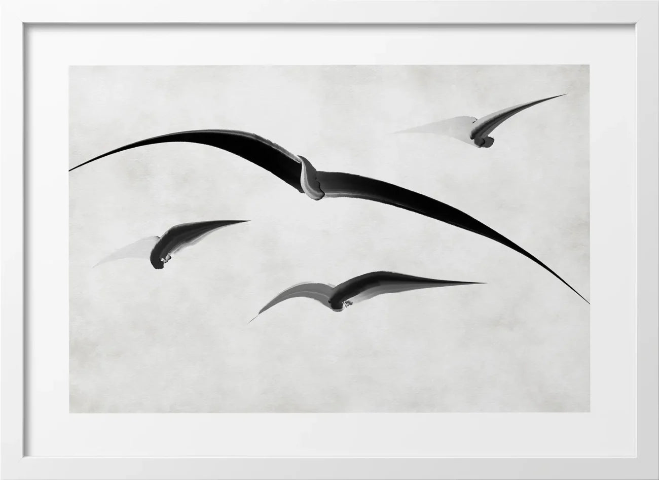 Feathered Dreamscape Poster