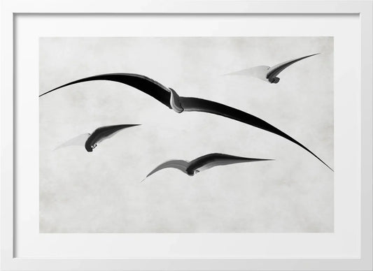 Feathered Dreamscape Poster