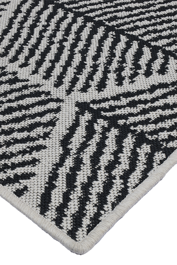 HIVE WHITE WITH BLACK