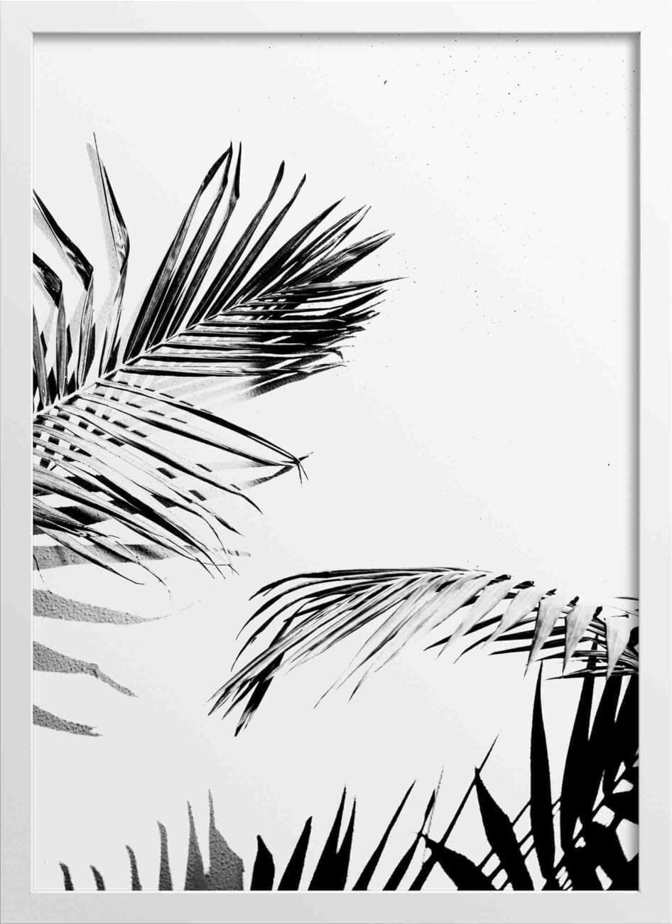 Palm tree leaves mono posters (2-Options)