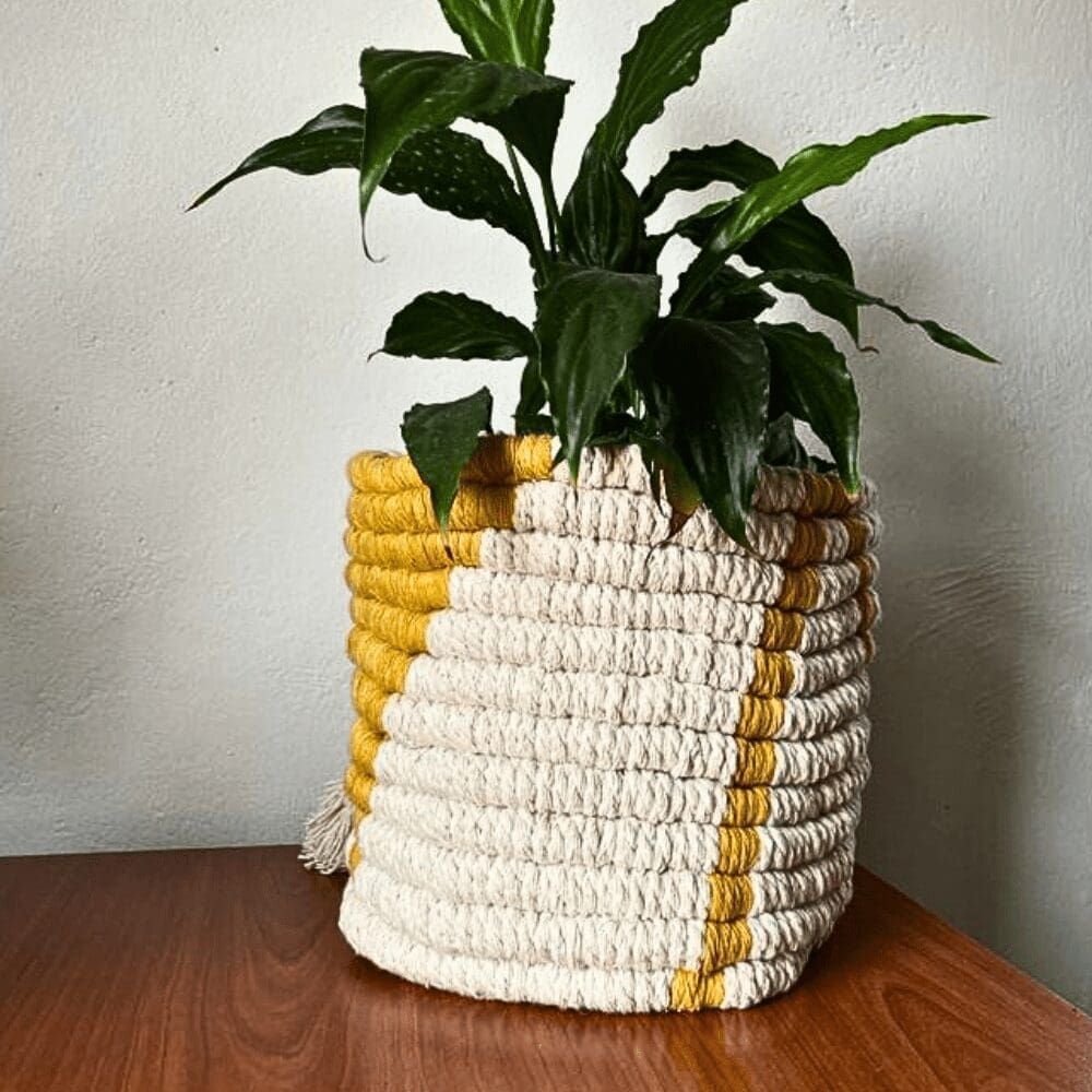 Handmade Macrame Pot Planters (S/M)