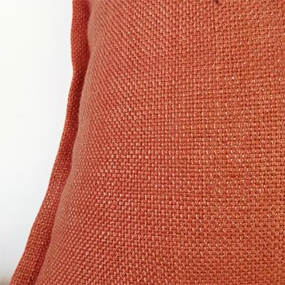 Aloe Botanical Scatter Cushion Cover – Elegant &amp; Locally Crafted