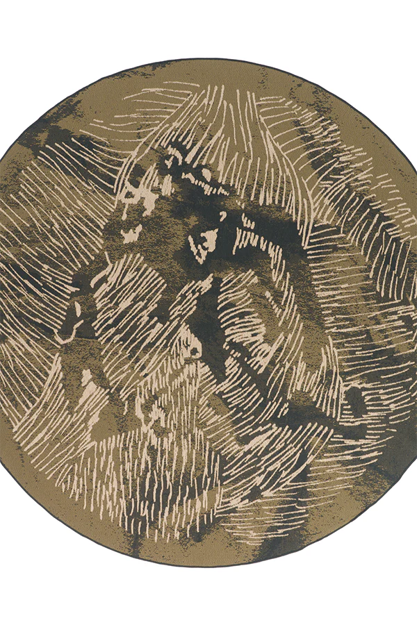 FOSSIL