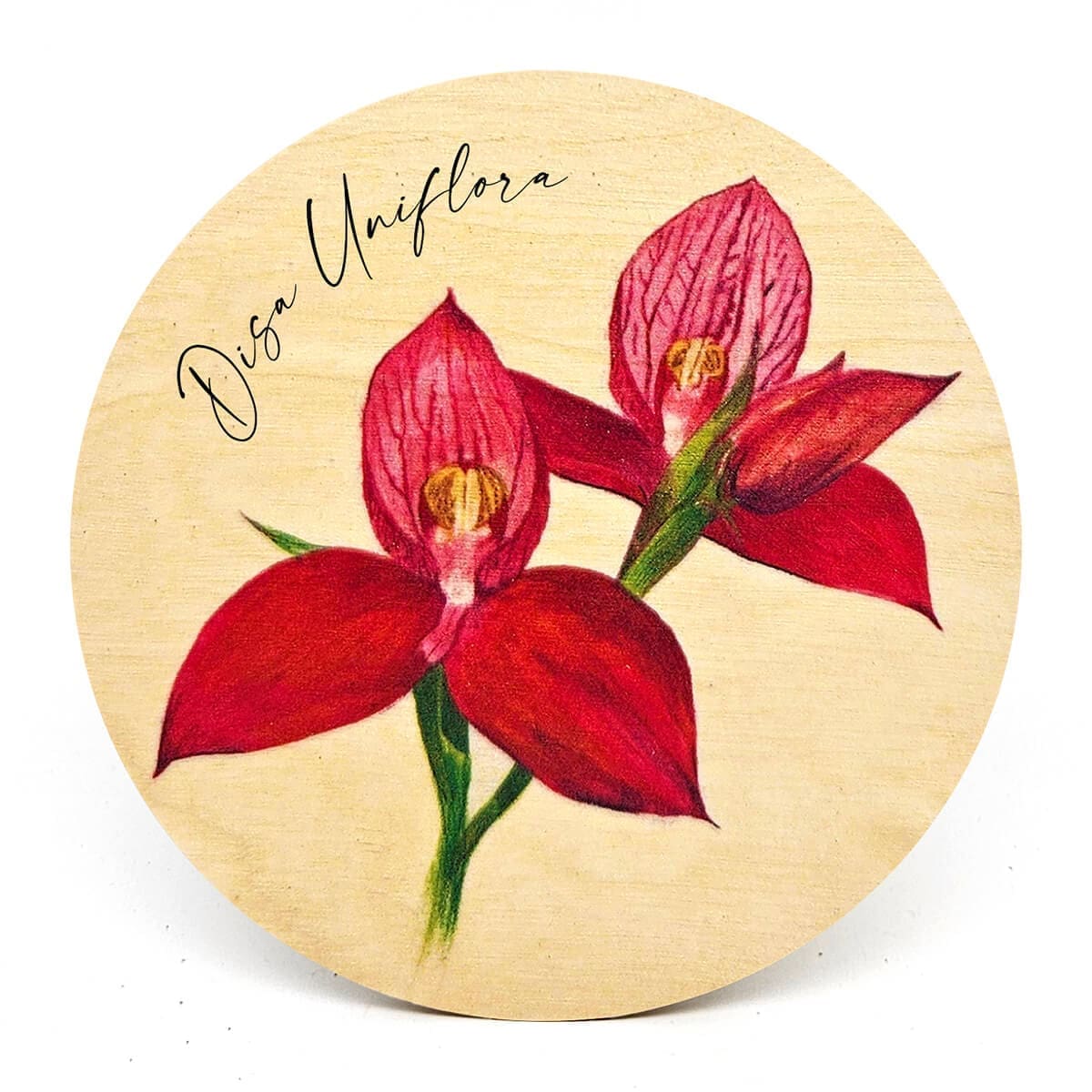 South African Botanical Wooden Coasters