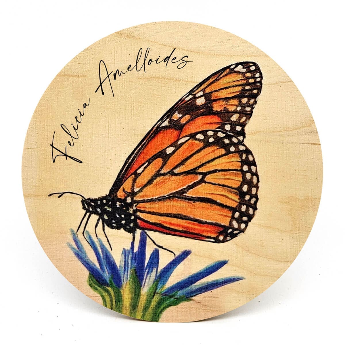 South African Botanical Wooden Coasters