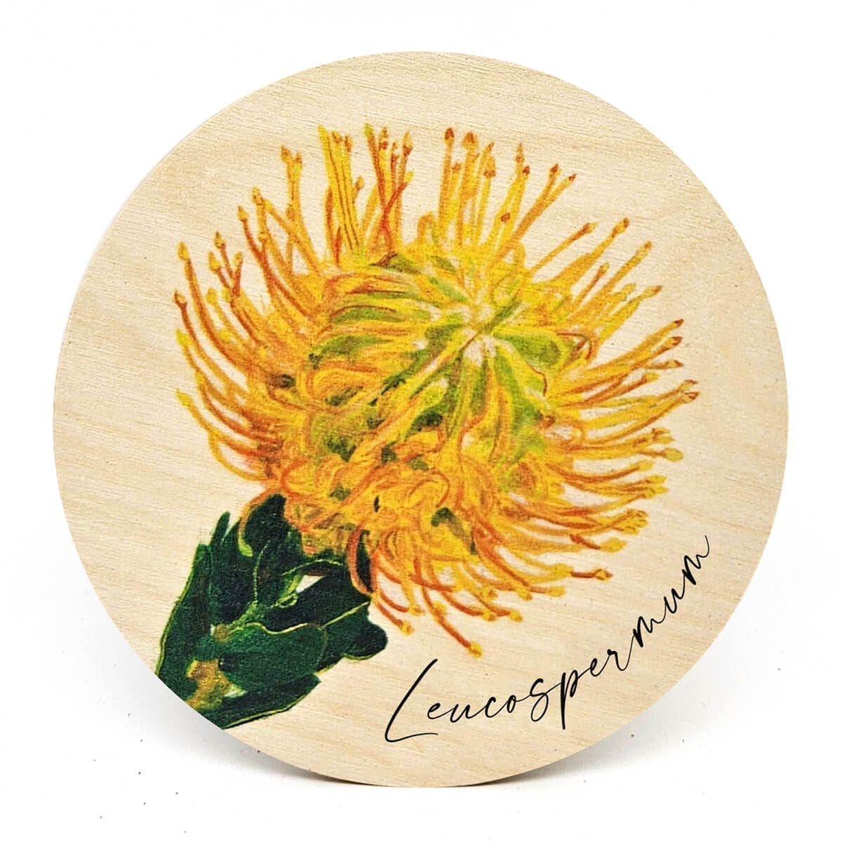 South African Botanical Wooden Coasters
