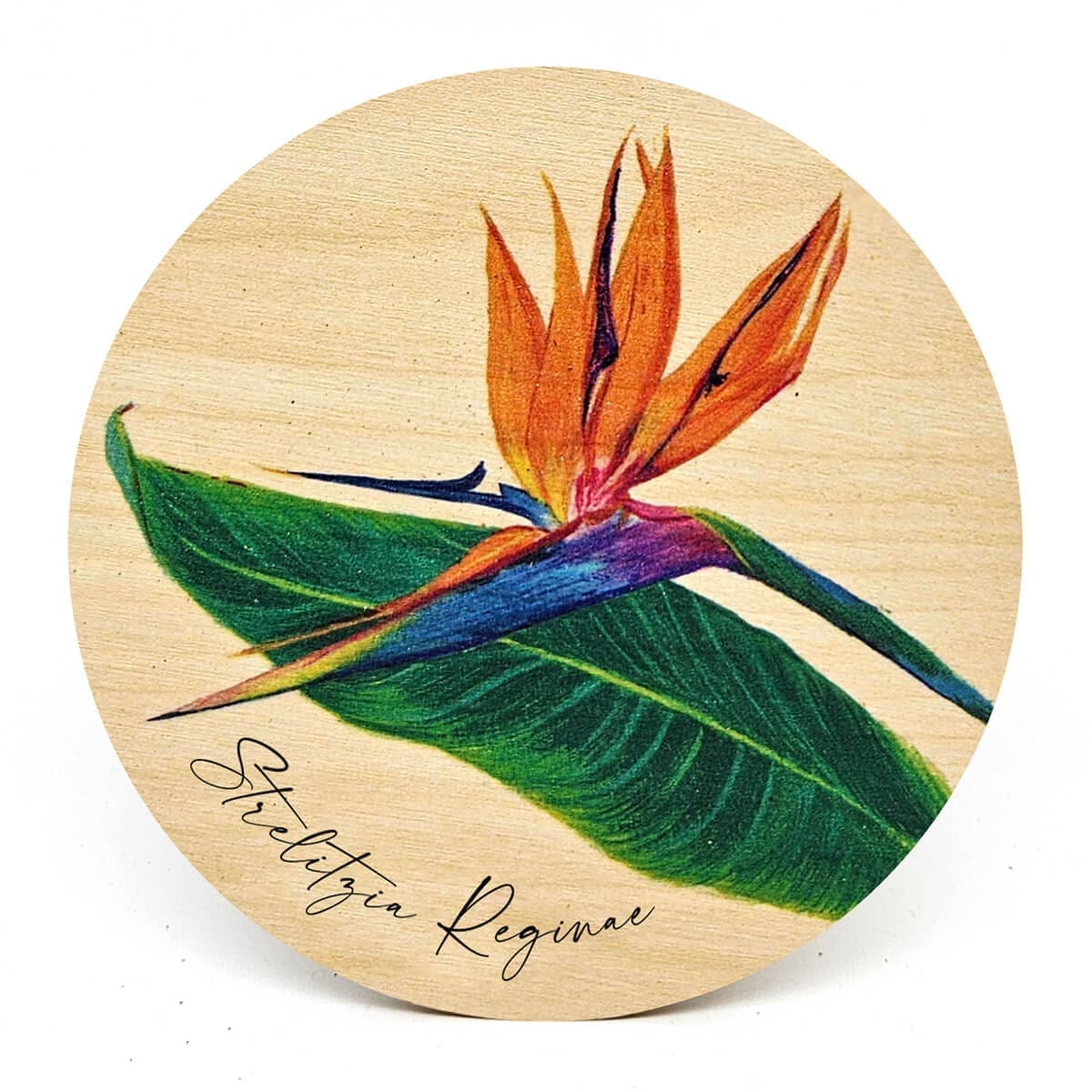 South African Botanical Wooden Coasters