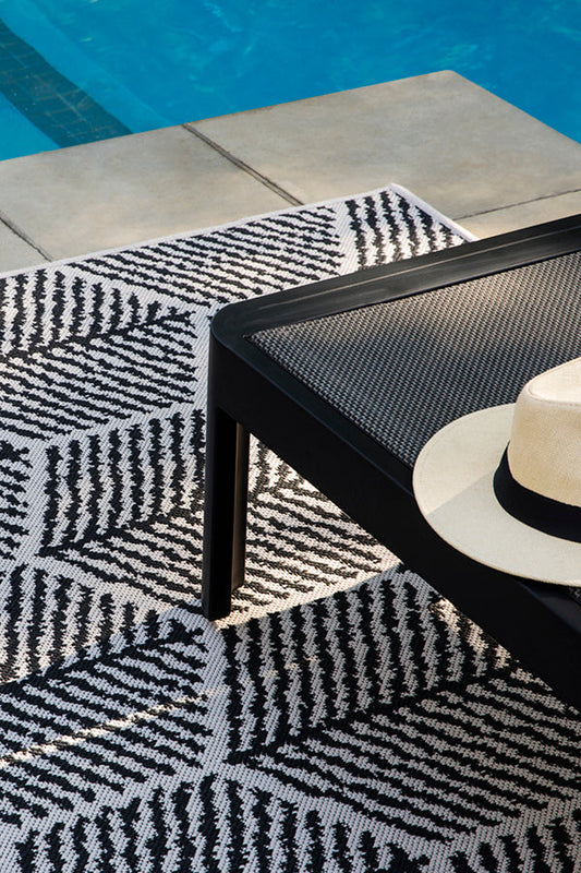 HIVE WHITE WITH BLACK
