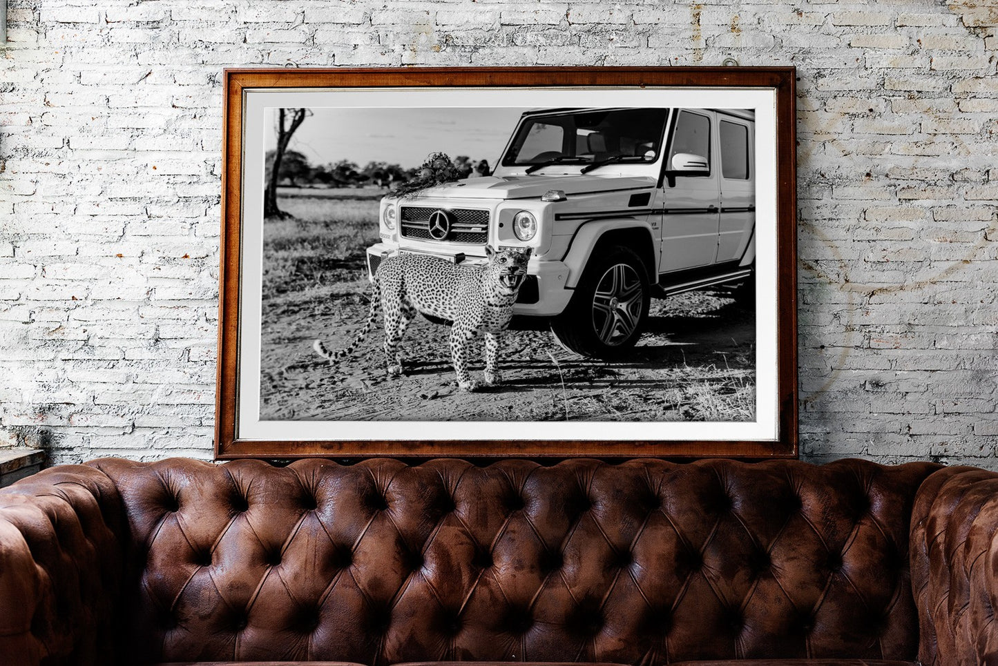 Black and white Leopard |  Legacy series