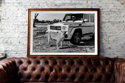 Black and white Leopard |  Legacy series