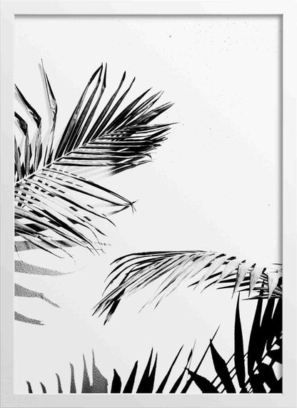 Palm tree leaves mono posters (2-Options)