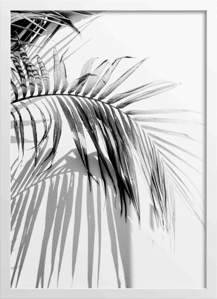Palm Tree Leaves Poster Series