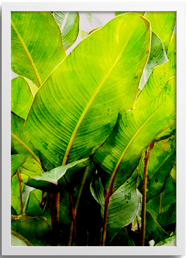 Tropical Banana Leaf Poster
